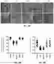 Fig. 31 - GENE THERAPY USING GENETICALLY MODIFIED VIRAL VECTORS