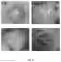 Fig. 07 - Visualized Screening Method for Aspergillus Recombinant Strains with Multigene Editing