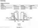 Fig. 12 - Methods for regulating nitrogen metabolism during the production of ethanol from corn by metabolically engineered yeast strains
