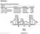 Fig. 19 - Methods for regulating nitrogen metabolism during the production of ethanol from corn by metabolically engineered yeast strains