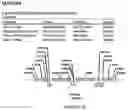 Fig. 22 - Methods for regulating nitrogen metabolism during the production of ethanol from corn by metabolically engineered yeast strains