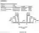 Fig. 32 - Methods for regulating nitrogen metabolism during the production of ethanol from corn by metabolically engineered yeast strains