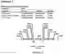 Fig. 34 - Methods for regulating nitrogen metabolism during the production of ethanol from corn by metabolically engineered yeast strains