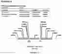 Fig. 36 - Methods for regulating nitrogen metabolism during the production of ethanol from corn by metabolically engineered yeast strains