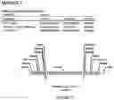 Fig. 38 - Methods for regulating nitrogen metabolism during the production of ethanol from corn by metabolically engineered yeast strains