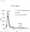 Fig. 04 - Composition for producing tagatose and method of producing tagatose using the same