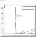 Fig. 07 - Composition for producing tagatose and method of producing tagatose using the same