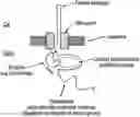 Fig. 01 - Polynucleotide synthesis method, kit and system