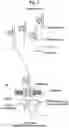 Fig. 05 - Polynucleotide synthesis method, kit and system