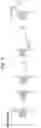 Fig. 11 - Polynucleotide synthesis method, kit and system