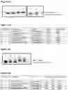 Fig. 16 - POLYNUCLEOTIDE SYNTHESIS METHOD, KIT AND SYSTEM