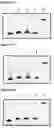 Fig. 36 - POLYNUCLEOTIDE SYNTHESIS METHOD, KIT AND SYSTEM