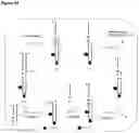 Fig. 56 - POLYNUCLEOTIDE SYNTHESIS METHOD, KIT AND SYSTEM