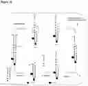 Fig. 57 - POLYNUCLEOTIDE SYNTHESIS METHOD, KIT AND SYSTEM