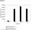 Fig. 60 - POLYNUCLEOTIDE SYNTHESIS METHOD, KIT AND SYSTEM