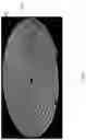 Fig. 11 - HIGH EFFICIENCY, SMALL VOLUME NUCLEIC ACID SYNTHESIS