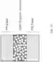 Fig. 25 - HIGH EFFICIENCY, SMALL VOLUME NUCLEIC ACID SYNTHESIS