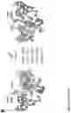 Fig. 04 - RIBOSOME VARIANTS FOR SEQUENCE DEFINED POLYMER SYNTHESIS