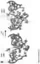 Fig. 15 - RIBOSOME VARIANTS FOR SEQUENCE DEFINED POLYMER SYNTHESIS
