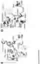Fig. 18 - RIBOSOME VARIANTS FOR SEQUENCE DEFINED POLYMER SYNTHESIS