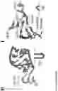 Fig. 19 - RIBOSOME VARIANTS FOR SEQUENCE DEFINED POLYMER SYNTHESIS