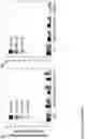 Fig. 26 - RIBOSOME VARIANTS FOR SEQUENCE DEFINED POLYMER SYNTHESIS