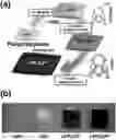 Fig. 01 - A METHOD, AN ELECTROCHEMICAL SENSOR AND A SYSTEM FOR SELECTIVE DETECTION OF INFECTIONS