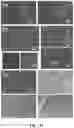 Fig. 12 - A METHOD, AN ELECTROCHEMICAL SENSOR AND A SYSTEM FOR SELECTIVE DETECTION OF INFECTIONS