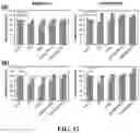 Fig. 13 - A METHOD, AN ELECTROCHEMICAL SENSOR AND A SYSTEM FOR SELECTIVE DETECTION OF INFECTIONS