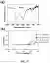 Fig. 18 - A METHOD, AN ELECTROCHEMICAL SENSOR AND A SYSTEM FOR SELECTIVE DETECTION OF INFECTIONS