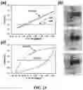 Fig. 22 - A METHOD, AN ELECTROCHEMICAL SENSOR AND A SYSTEM FOR SELECTIVE DETECTION OF INFECTIONS