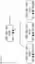 Fig. 24 - Recombinant type I CRISPR-Cas system and uses thereof for screening for variant cells