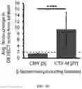 Fig. 05 - Compounds to Identify Beta-Lactamases, and Methods of Use Thereof