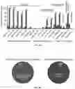Fig. 09 - Compounds to Identify Beta-Lactamases, and Methods of Use Thereof