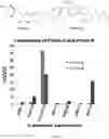 Fig. 12 - Compounds to Identify Beta-Lactamases, and Methods of Use Thereof