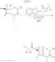 Fig. 145 - Compounds to Identify Beta-Lactamases, and Methods of Use Thereof