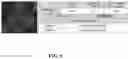 Fig. 07 - Method and System for Automated Image Analysis in Cancer Cells