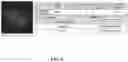 Fig. 09 - Method and System for Automated Image Analysis in Cancer Cells