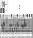 Fig. 08 - NUCLEIC ACID PROBES