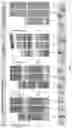 Fig. 11 - NUCLEIC ACID PROBES
