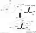 Fig. 01 - gRNA STABILIZATION IN NUCLEIC ACID-GUIDED NICKASE EDITING