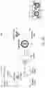 Fig. 17 - gRNA STABILIZATION IN NUCLEIC ACID-GUIDED NICKASE EDITING