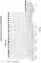 Fig. 22 - gRNA STABILIZATION IN NUCLEIC ACID-GUIDED NICKASE EDITING