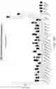 Fig. 30 - gRNA STABILIZATION IN NUCLEIC ACID-GUIDED NICKASE EDITING