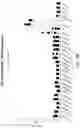 Fig. 31 - gRNA STABILIZATION IN NUCLEIC ACID-GUIDED NICKASE EDITING