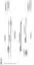 Fig. 17 - DIRECTIONAL TARGETED SEQUENCING