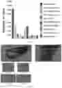 Fig. 10 - PAIRED MACROMOLECULE ABUNDANCE AND T-CELL RECEPTOR SEQUENCING WITH HIGH SPATIAL RESOLUTION