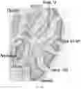 Fig. 18 - PAIRED MACROMOLECULE ABUNDANCE AND T-CELL RECEPTOR SEQUENCING WITH HIGH SPATIAL RESOLUTION