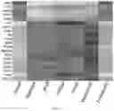 Fig. 20 - PAIRED MACROMOLECULE ABUNDANCE AND T-CELL RECEPTOR SEQUENCING WITH HIGH SPATIAL RESOLUTION