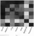 Fig. 21 - PAIRED MACROMOLECULE ABUNDANCE AND T-CELL RECEPTOR SEQUENCING WITH HIGH SPATIAL RESOLUTION